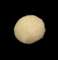 A round tan fiber ball